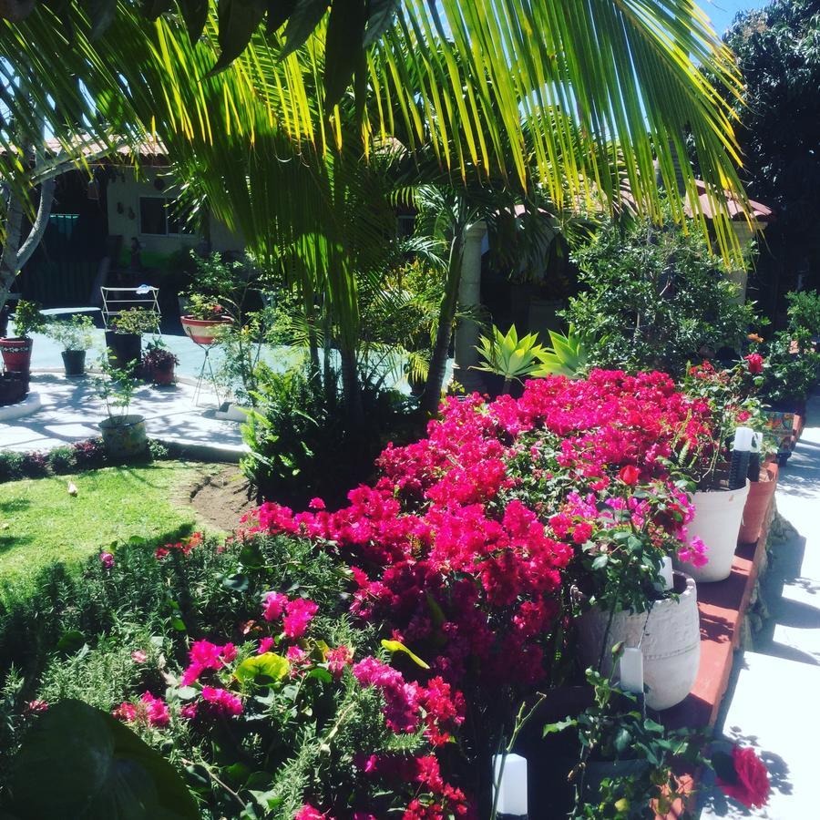Casa De La Abuela